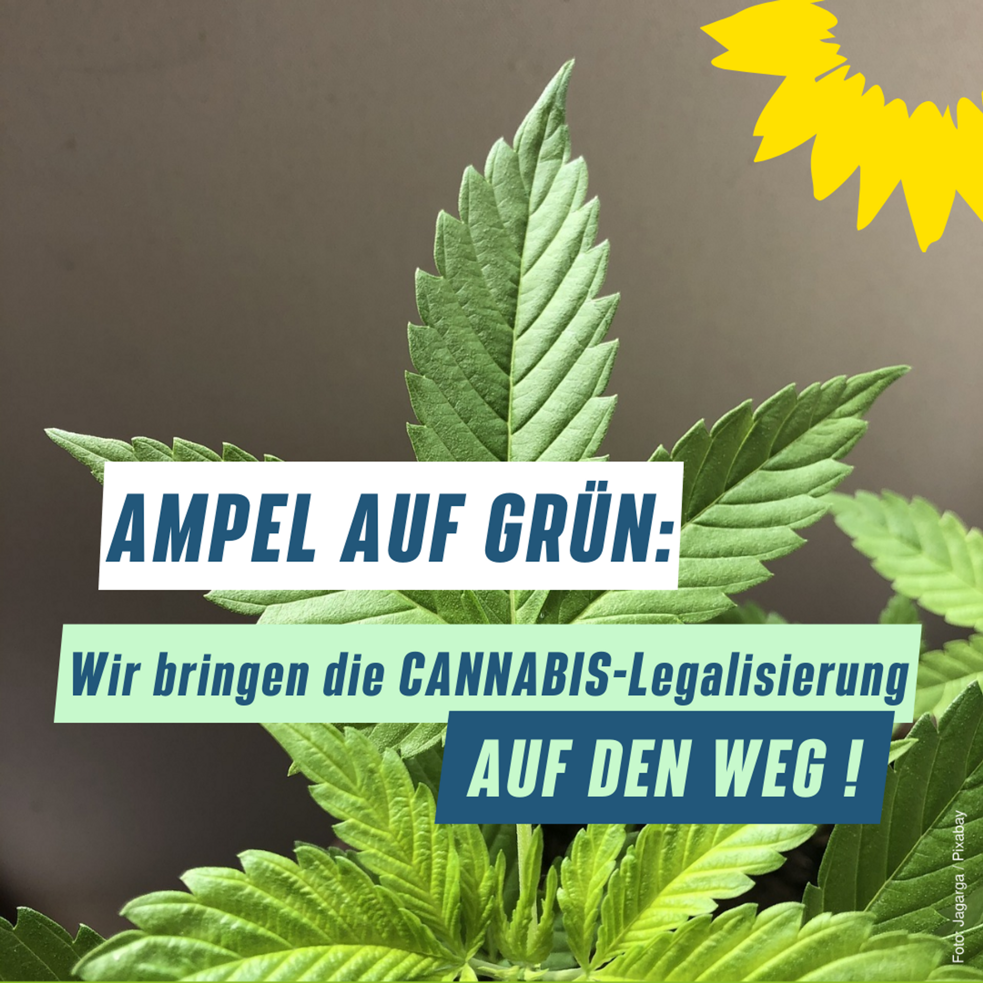 Ampel auf Grün: Wir bringen die Cannabis-Legalisierung auf den Weg